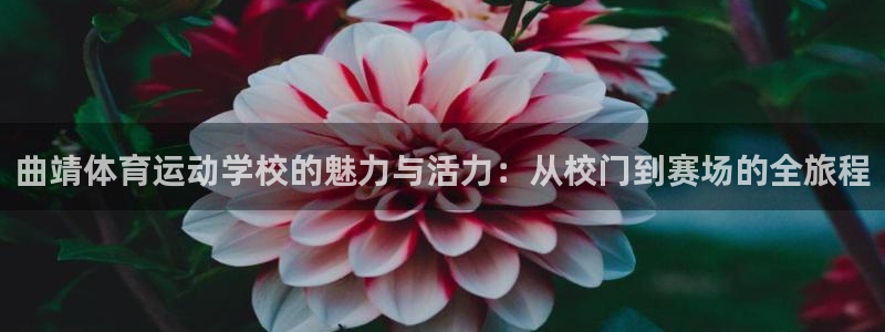 JJB竞技宝官方正版app娱乐代理怎么样:曲靖体育运动学校的